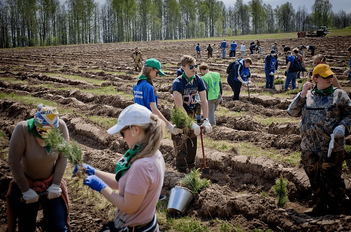 Волонтеры леса-это стражи и помощь в сфере экологии и экосистемы России