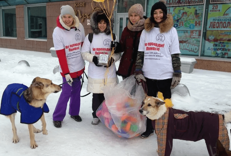 На фото зооволонтеры из Казани провели благотворительную акцию в приюте для бездомных собак.